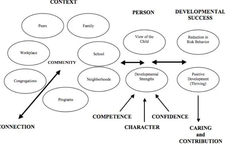 Figure 2.1. Five C’s of positive youth development as theorized within developmental systems theory    