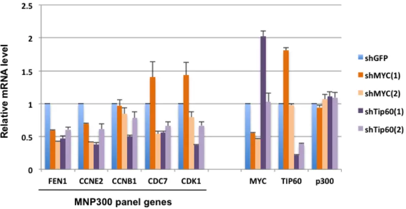 Figure 1: Repression of selected MNP300 panel genes by MYC and Tip60 shRNA. MB231 cells transduced with individual shRNA clones for MYC and Tip60 were puromycin-selected and used for RT-qPCR analysis of genes of interest