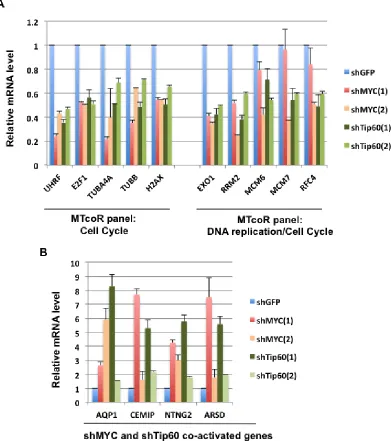 Figure 3: RT-qPCR analysis of selected genes from the MTcoR panel for repression by MYC and Tip60 knockdown