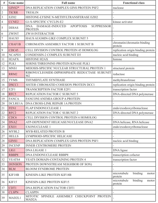 Table 1: Genes overlapping between the MTcoR panel and the MNP300 panel and involved in cell cycle