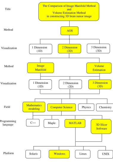 Figure 1.3: The chart of research scope in constructing 3D brain tumor image.  