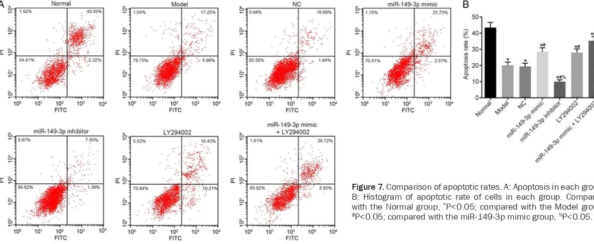 Figure 7. Comparison of apoptotic rates. A: Apoptosis in each group; B: Histogram of apoptotic rate of cells in each group