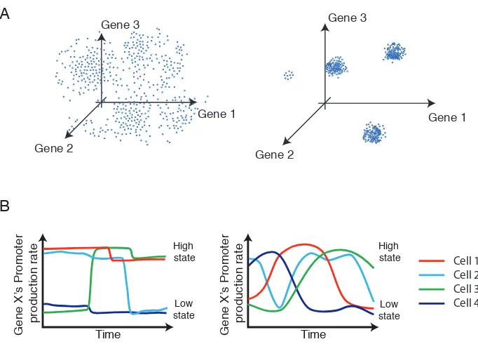 Figure 2.1: Diﬀerent types of gene expression heterogeneity(A) Intrinsic noise in gene expression can lead to uncorrelated variation (left), while thecoexistence of distinct cellular states can produce correlated variability in gene expression(right)