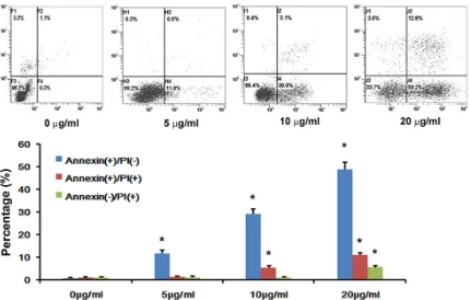 Figure 4. The changes of FASN and apoptosis related proteins expression in HepG2 cells following cerulenin treat-ment