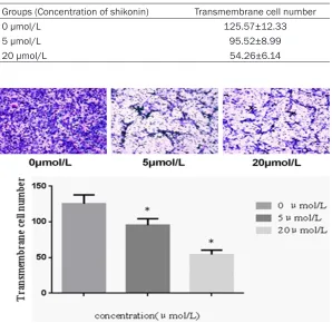 Table 3. Effects of shikonin on invasiveness of U251 cells 
