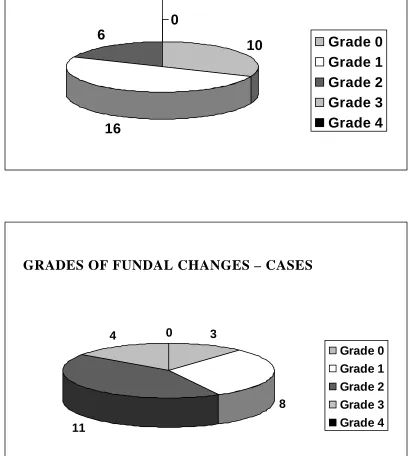 Fig.11  