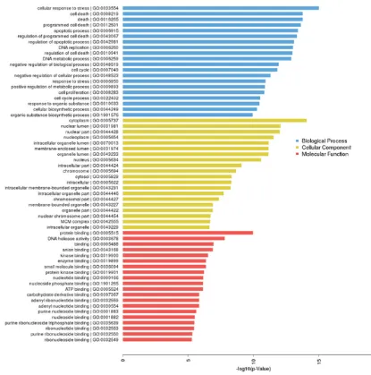 Figure 2. Top 20 GO annotation terms of differentially-expressed genes for AGS1 and AGS3, according to P values of enriched GO terms