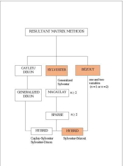 Figure 1.3 Resultant matrix methods