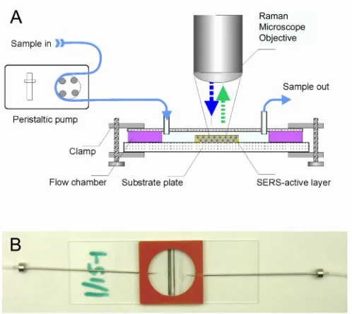 Figure 2.1. (A) Schematic diagram of the experimental system used to evaluate the performance of SERS substrates