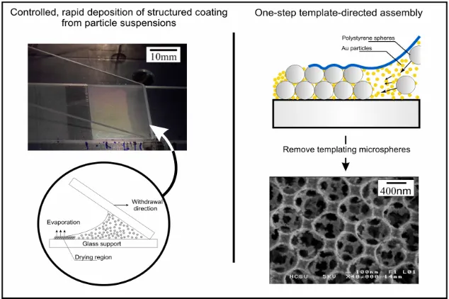 Figure 2.3. Schematic for the one-step deposition of nanostructured substrates used in this study