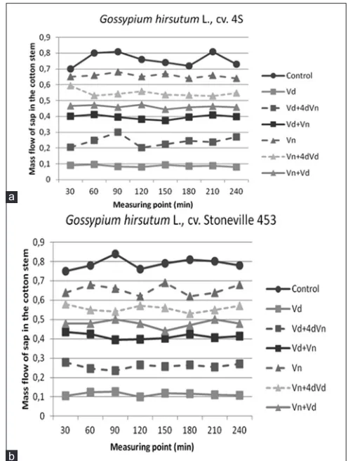 Fig 4. Mass flow of sap in the cotton Stems inoculated with V. nigrescens and V.dahliae.