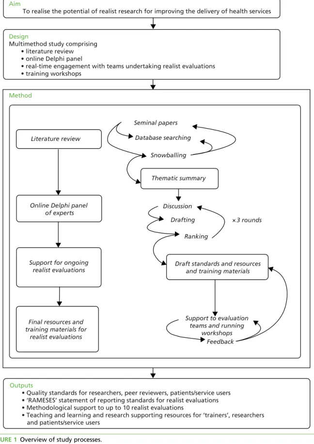 FIGURE 1 Overview of study processes.