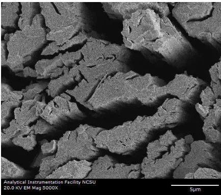 Figure 14: Fractures along grain boundaries (sample T7). 