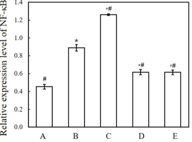 Table 4. Average optical density values of IL-12, IL-13, and IgE in nasal mucosa of groups A-E