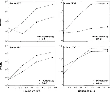 TABLE 2. Fluorescent focus assay