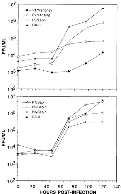 FIG. 8. Mapping of the caschematically, with P1/Mahoney sequences in black boxes and P1/Sabin virus sequences in open boxes