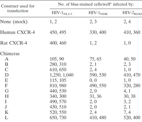 TABLE 1. Infection of U373MG-CD4 (LTRlacZ) cells expressingWT or chimeric CXCR-4 by selected HIV strains