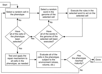 Figure 2.2: The growth and development process.