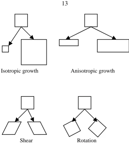 Figure 2.6: The four basic geometric operations observed in sub-regions of plants.
