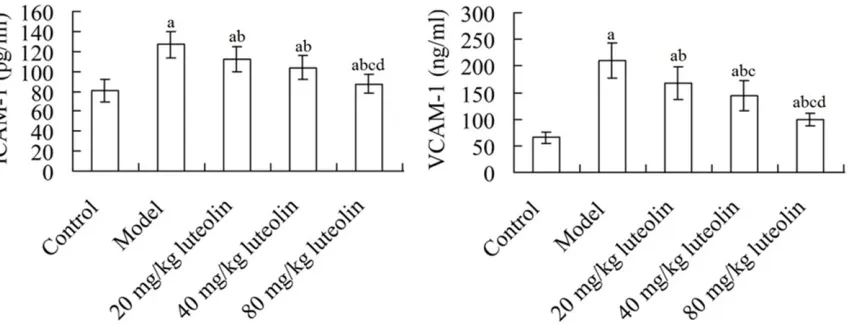 Figure 2. Serum ET and NO levels in rats after treatment. aP < 0.05 compared with the control group; bP < 0.05 compared with the model group; cP < 0.05 compared with the 20 mg/kg luteolin group; dP < 0.05 compared with the 40 mg/kg luteolin group