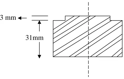 Fig 11 :  Schematic representation of the Die  