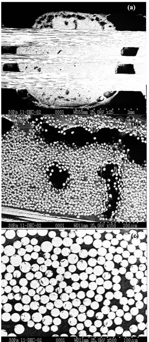 Figure 3.5 SEM photo of 3D glass CMC C1 in the weft direction: (a) yarns and empty 