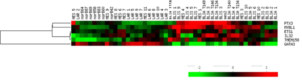 Table 3:  Gene Ontology functional analysis of the 6 candidate genes as designated following GATHER and mAdb program analyses.