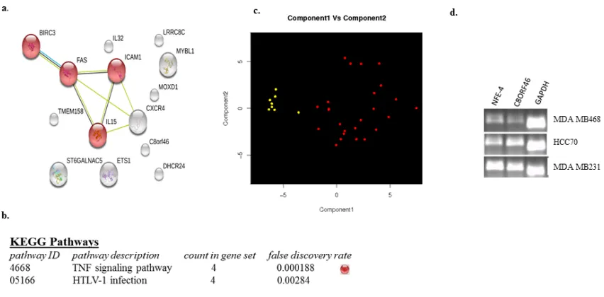 Table 4: Differential gene expression of 6 genes in TNBC-25 compared to all Luminal A/B, Her2, normal samples.