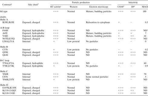 TABLE 1. Properties of p17 mutants