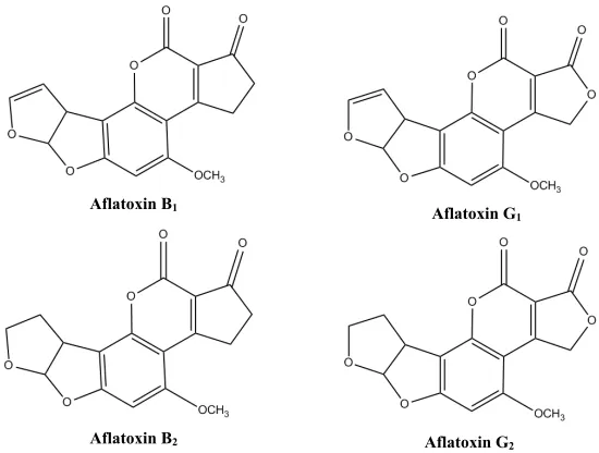Figure 1.1. Structures of aflatoxin in its four primary forms. 