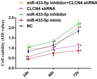 Figure 5. CLCN4 protein expression in different gastric cancer cells, Note: (A) The protein bands of CLCN4 in different gastric cancer cell lines; (B) Quan-tification of CLCN4 protein in different gastric cancer cell lines