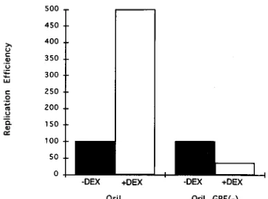 FIG. 5. Effect of DEX on a mutated oriL GRE plasmid in NGF-differenti-ated PC12 cells