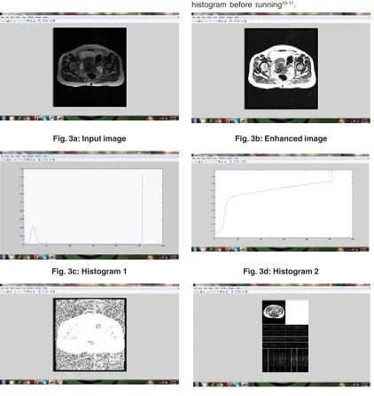 Fig. 3a: Input image