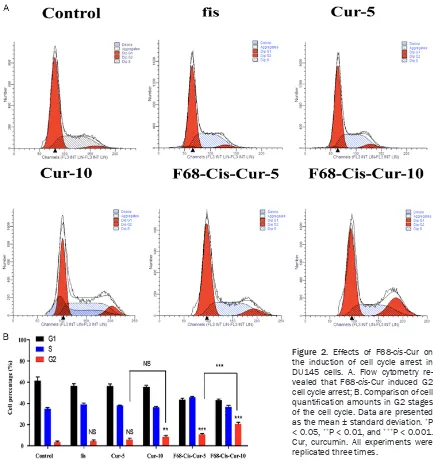 Figure 2. Effects of F68-cis-Cur on the induction of cell cycle arrest in DU145 cells