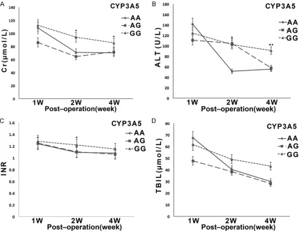 Figure 5. Indicators of hepatorenal function recovery in liver transplantation patients with different CYP3A5 geno-types