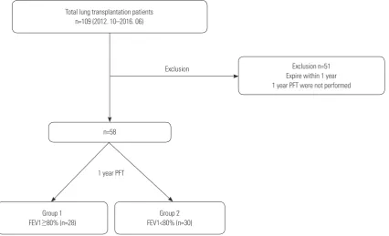 Fig. 1. Flow diagram of the study population. A total of 58 patients were enrolled in this study and divided into two groups