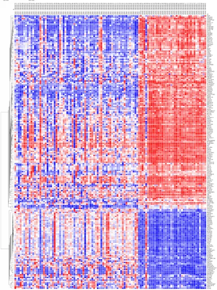Figure 1. Heatmap of 202 DEGs. 70 tumor cases and 37 normal group had 202 DEGs, including 59 up-regulated genes and 143 down-regulated genes in HCC samples.