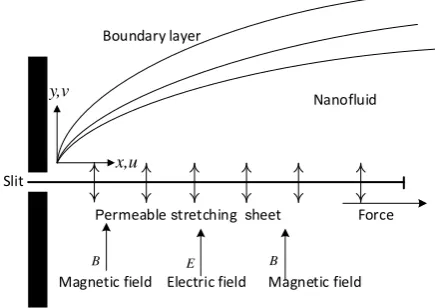 Fig. 1. Physical configuration of the geometry.