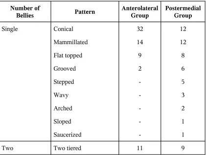 TABLETYPES OF INNER SURFACE OF PAPILLARY MUSCLES NORMAL HEARTS