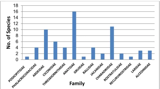 Figure 1: Spatial variation in species richness of waterbirds in Upper Lake (2010-12) 024681012141618No