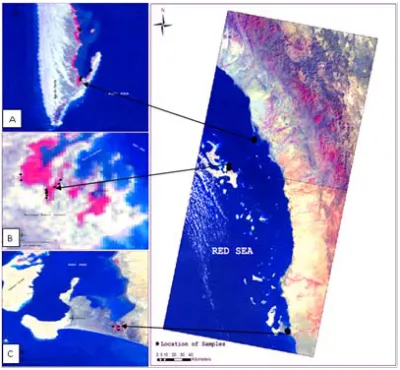 Fig. 1. Location map of the study area