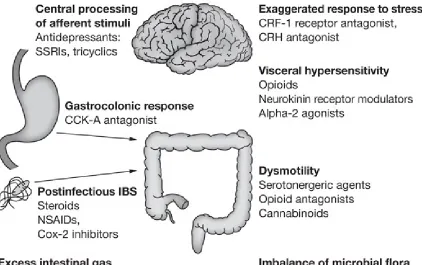 Figure 4. Pathophysiology and therapeutic strategies.