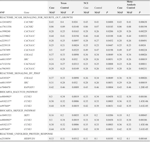 Table 3: Validated SNPs from significant pathways in independent populations