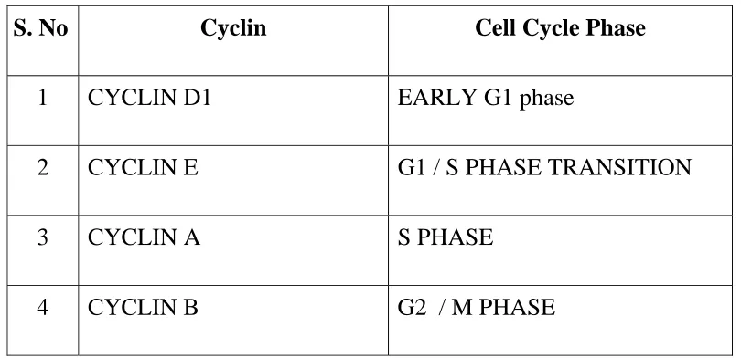 Table 1 :-   Cyclins and cell cycle phases. 