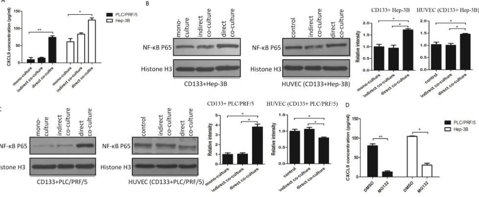 Figure 3: CXCL9 expression was upregulated in direct co-cultured supernatants through the activation of NF-kB