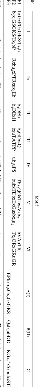 TABLE 2. Conserved motifs of the three SF of viral helicasesa