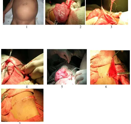 FIG NO-21-  