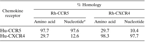 TABLE 1. Percentages of sequence homology between human andrhesus CCR5 and CXCR4