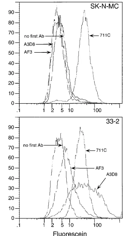 FIG. 2. Flow cytometric analysis of CD44 and Pvr expression on SK-N-MCcells (top panel) and SK-N-MC transformants expressing CD44 (bottom panel)