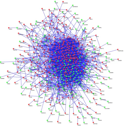 Figure 3. PPI network. Red nodes represent upregulated DEGs; green nodes represent downregulated DEGs